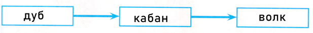 Рабочая тетрадь Плешаков 1 часть. Окружающий мир 3 класс, страница 45, 2024 год, номер 3. ГДЗ по окружающему миру 3 класс рабочая тетрадь Плешаков, страница 45, номер 3
