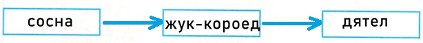 ГДЗ по окружающему миру 3 класс рабочая тетрадь Плешаков, страница 45, номер 3