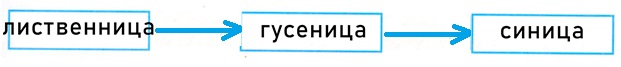 ГДЗ по окружающему миру 3 класс рабочая тетрадь Плешаков, страница 45, номер 3