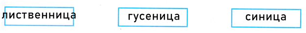 Рабочая тетрадь Плешаков 1 часть. Окружающий мир 3 класс, страница 45, 2024 год, номер 3. ГДЗ по окружающему миру 3 класс рабочая тетрадь Плешаков, страница 45, номер 3