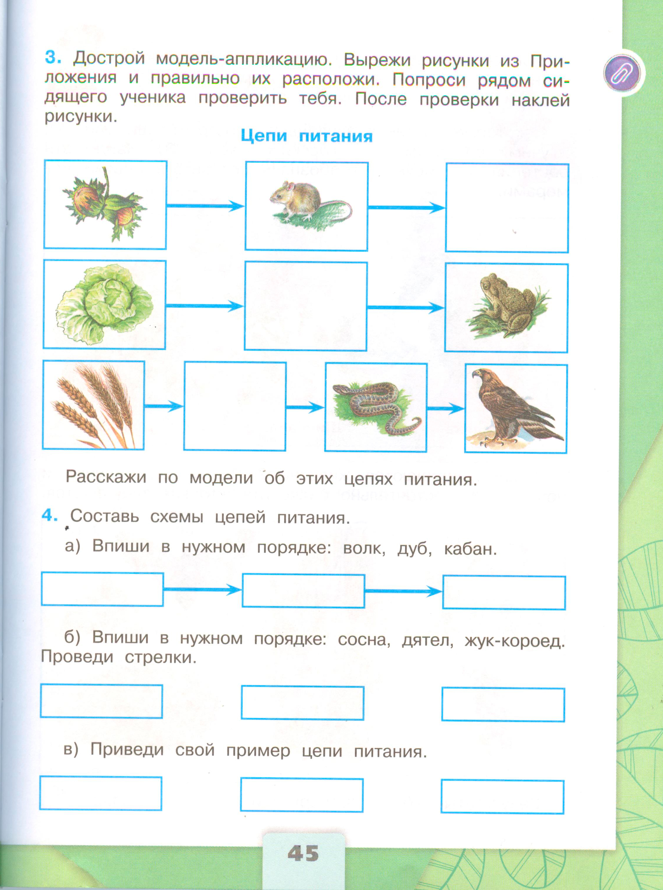 Рабочая тетрадь Плешаков 1 часть. Окружающий мир 3 класс, страница 45, 2024 год. ГДЗ по окружающему миру 3 класс рабочая тетрадь Плешаков, страница 45