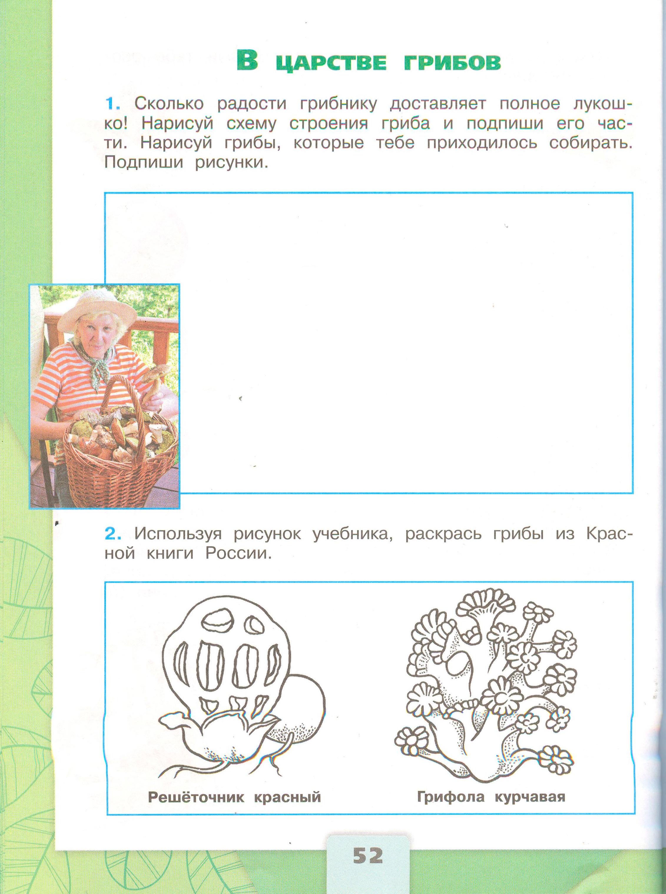 Рабочая тетрадь Плешаков 1 часть. Окружающий мир 3 класс, страница 52, 2024 год. ГДЗ по окружающему миру 3 класс рабочая тетрадь Плешаков, страница 52