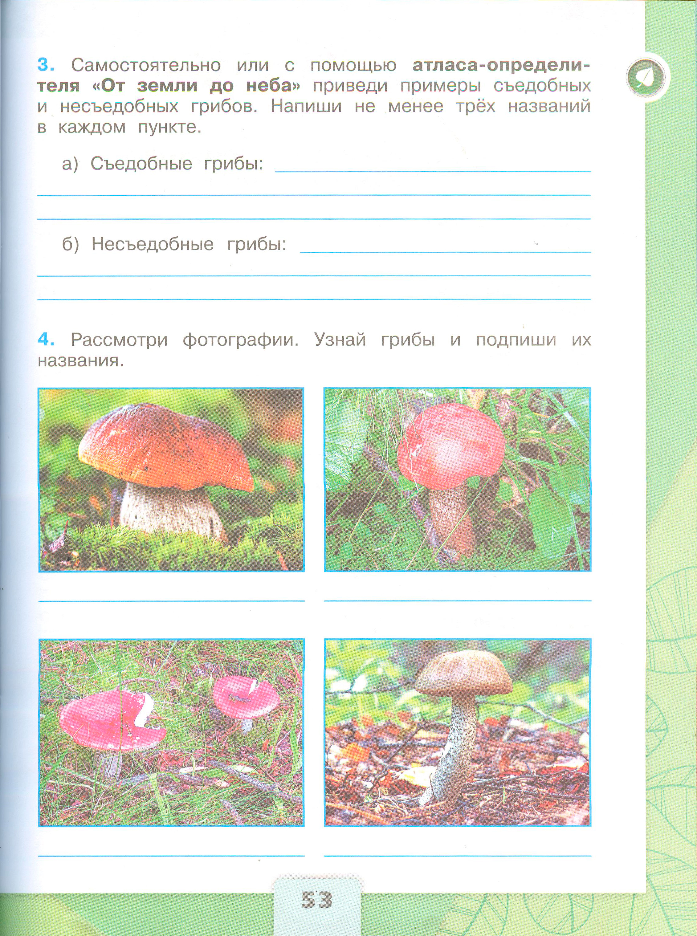 Рабочая тетрадь Плешаков 1 часть. Окружающий мир 3 класс, страница 53, 2024 год. ГДЗ по окружающему миру 3 класс рабочая тетрадь Плешаков, страница 53