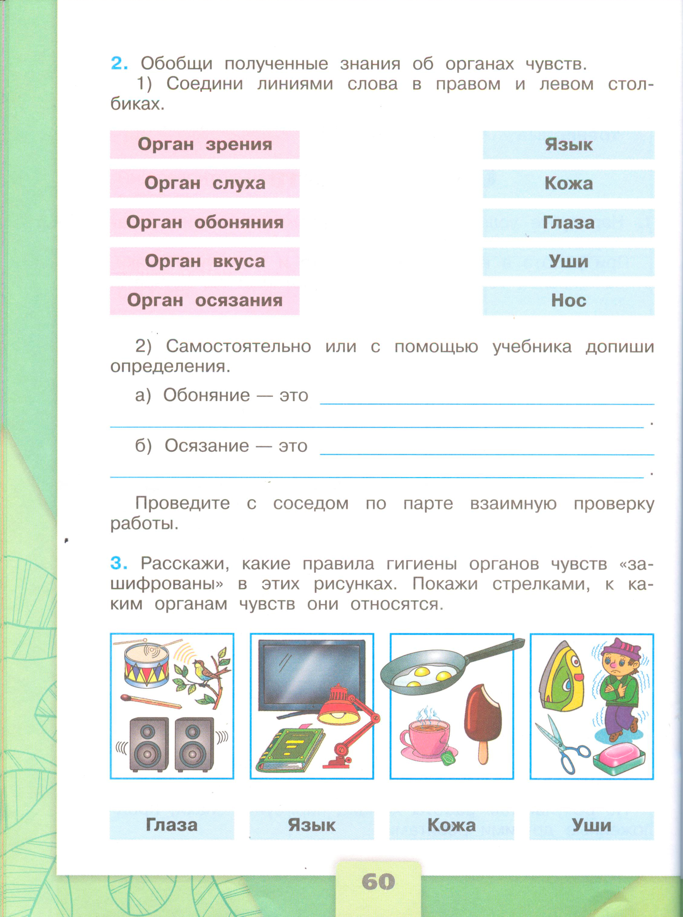 Рабочая тетрадь Плешаков 1 часть. Окружающий мир 3 класс, страница 60, 2024 год. ГДЗ по окружающему миру 3 класс рабочая тетрадь Плешаков, страница 60
