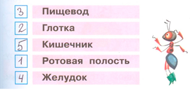 ГДЗ по окружающему миру 3 класс рабочая тетрадь Плешаков, страница 65, номер 4