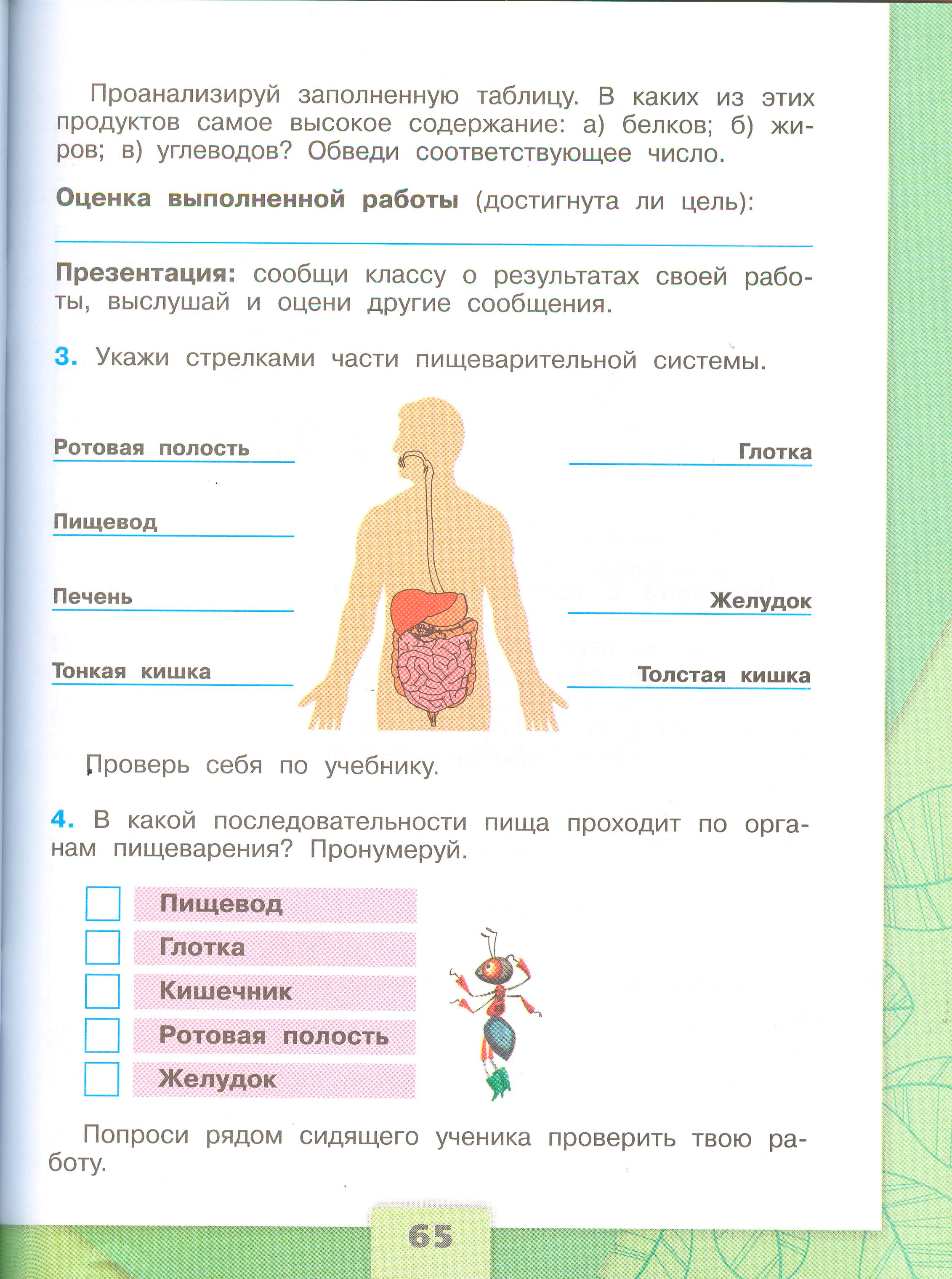 ГДЗ по окружающему миру 3 класс рабочая тетрадь Плешаков, страница 65