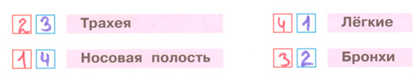 ГДЗ по окружающему миру 3 класс рабочая тетрадь Плешаков, страница 66, номер 2