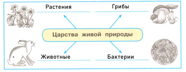 Рабочая тетрадь Плешаков 1 часть. Окружающий мир 3 класс, страница 3, 2024 год, номер 2. ГДЗ по окружающему миру 3 класс рабочая тетрадь Плешаков, страница 3, номер 2