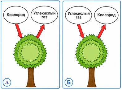 Окружающий мир 3 класс тесты Плешаков, Гара. Страница 21. Номер 70. 2025 год.