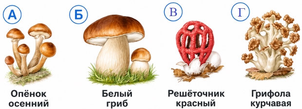 Окружающий мир 3 класс. Тесты. Плешаков, Гара, Назарова. Страница 31. Номер 107. 2025 год.