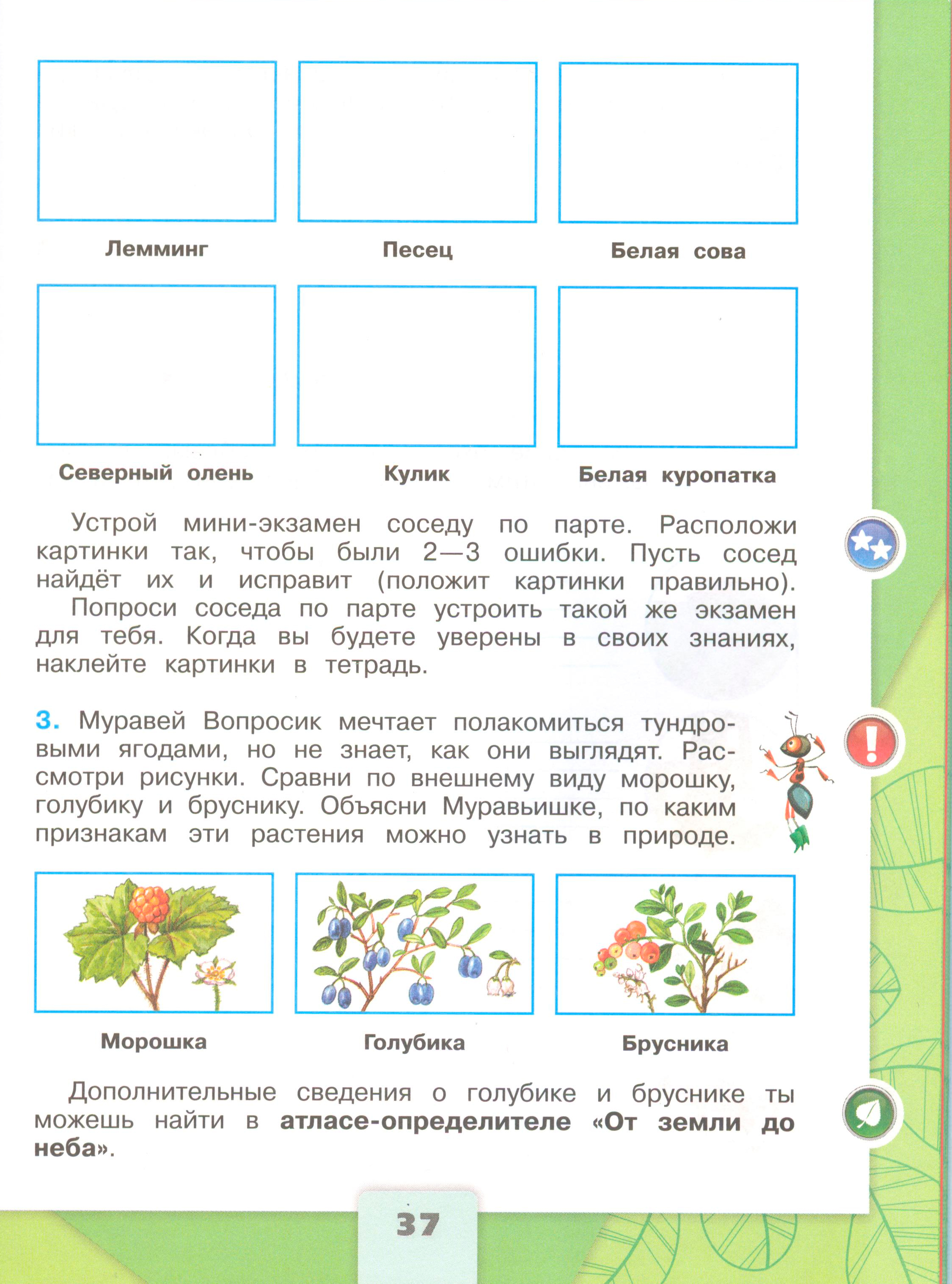 Рабочая тетрадь Плешаков 1 часть. Окружающий мир 4 класс. Страница 37.