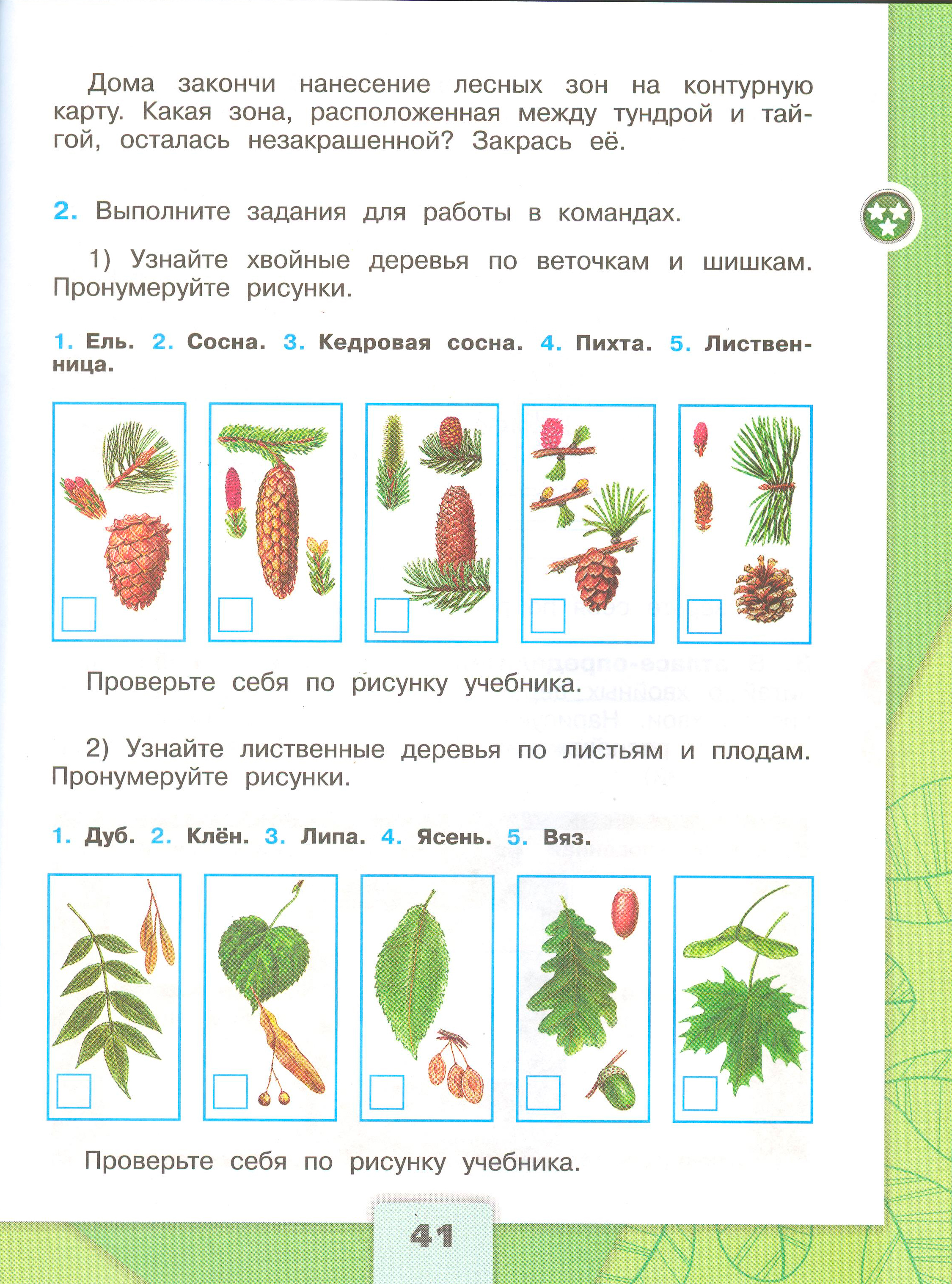 Рабочая тетрадь Плешаков страница 41, титул Рабочая тетрадь Плешаков 1 часть. Окружающий мир 4 класс. Страница 41.
