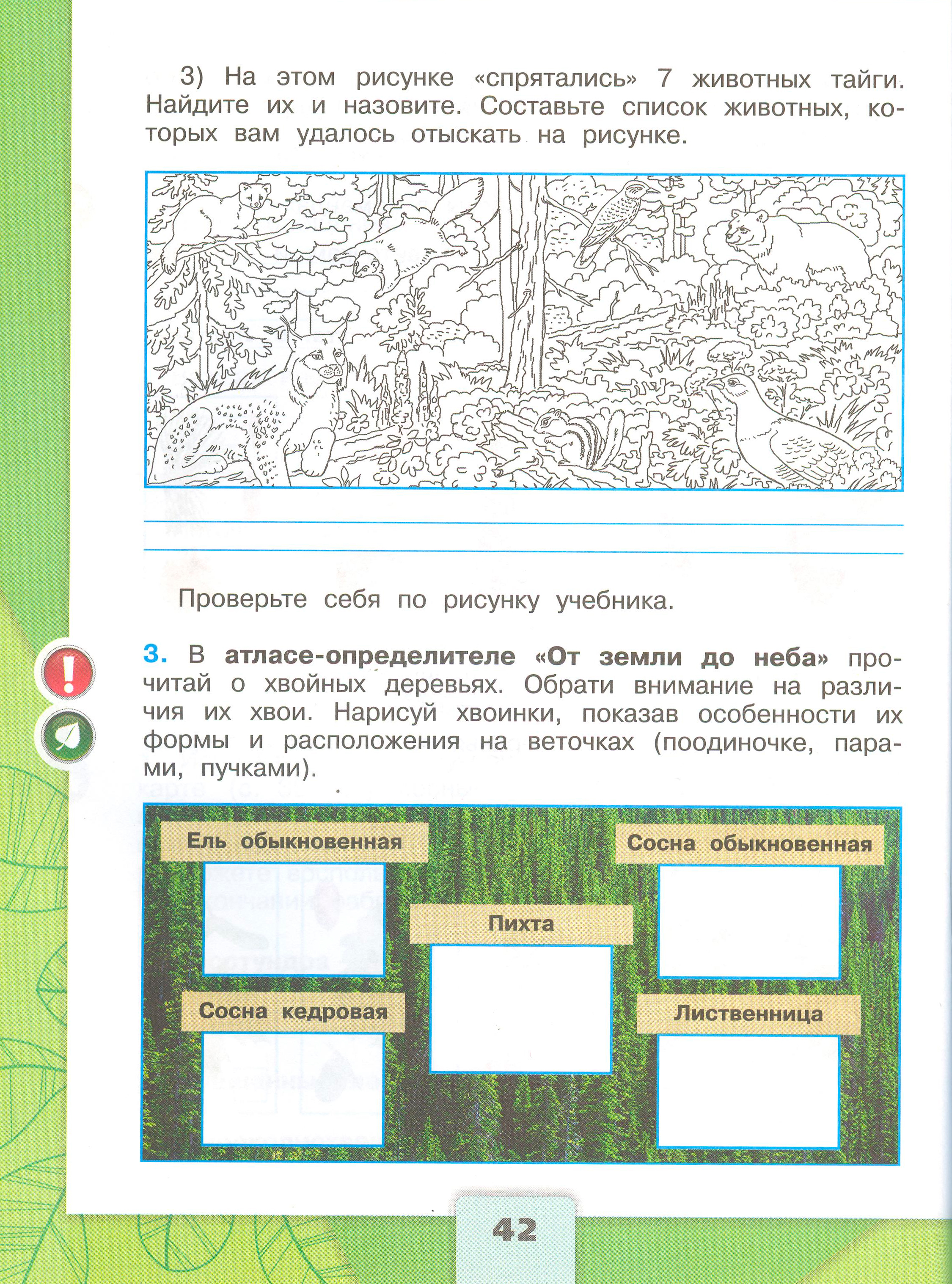 Рабочая тетрадь Плешаков 1 часть. Окружающий мир 4 класс. Страница 42.