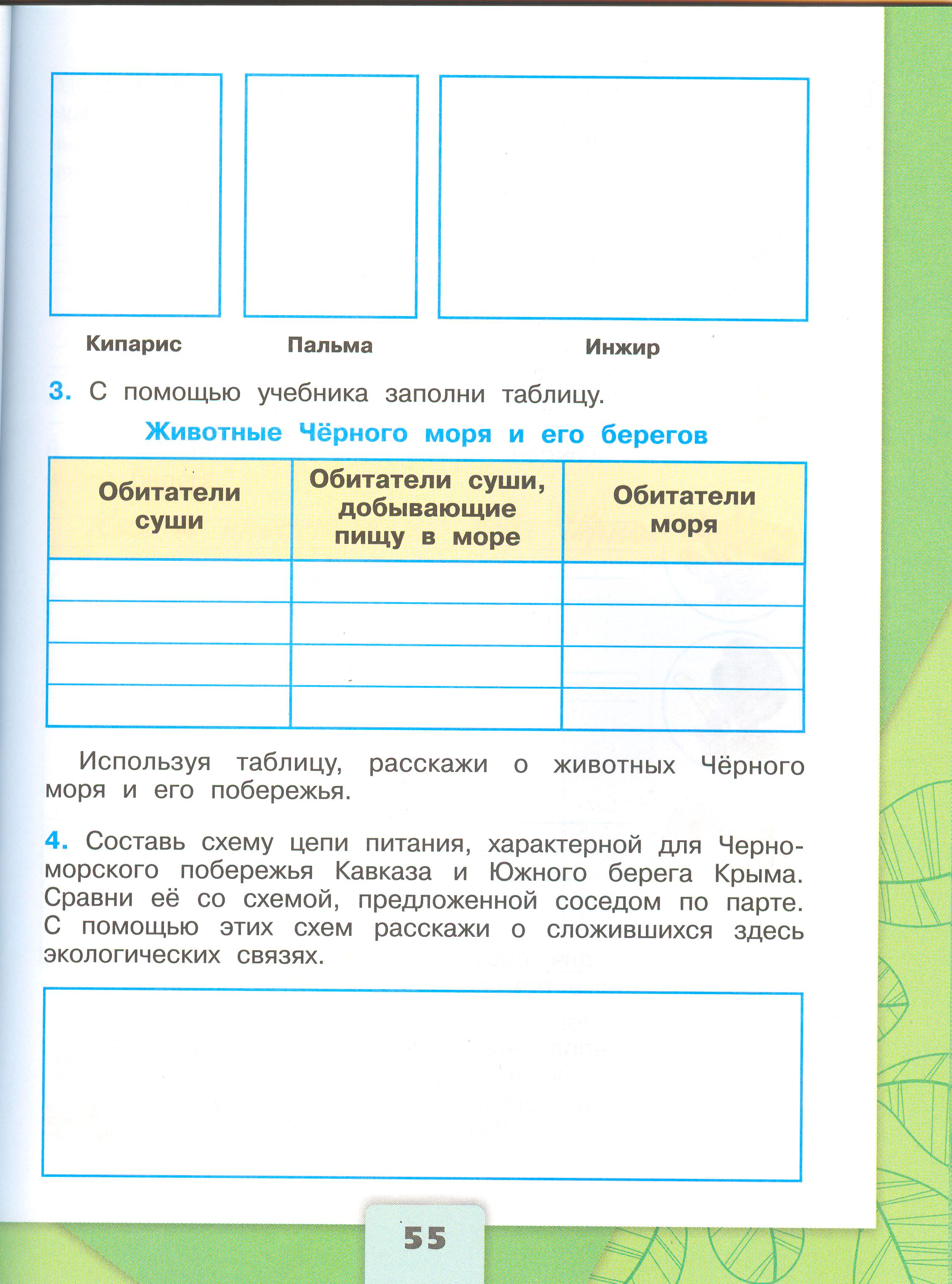 Рабочая тетрадь Плешаков страница 55, титул Рабочая тетрадь Плешаков 1 часть. Окружающий мир 4 класс. Страница 55.