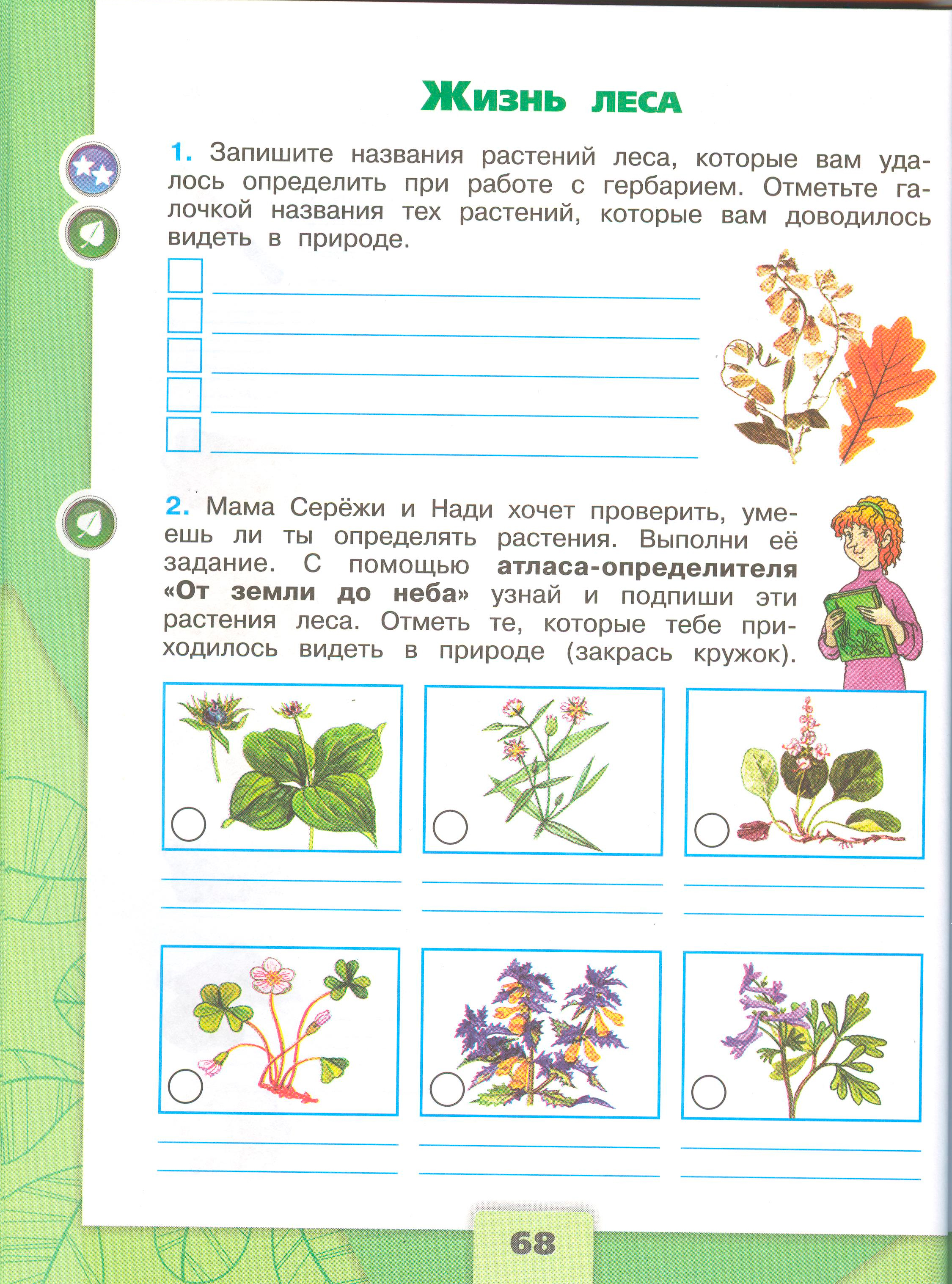 Рабочая тетрадь Плешаков 1 часть. Окружающий мир 4 класс. Страница 68.