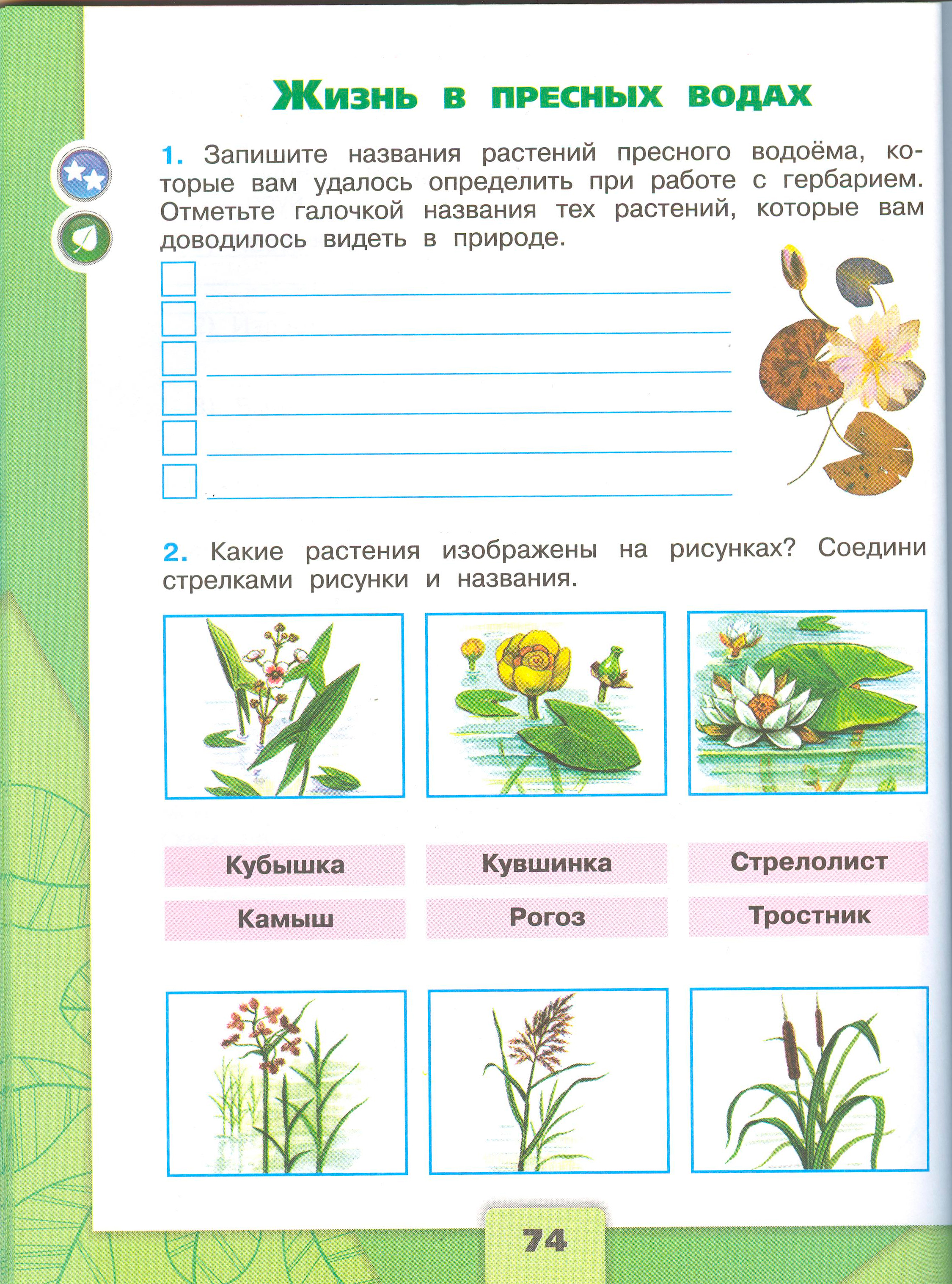 Рабочая тетрадь Плешаков 1 часть. Окружающий мир 4 класс. Страница 74.