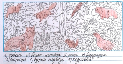 Рабочая тетрадь Плешаков 1 часть. Окружающий мир 4 класс. Страница 42. Задание 3