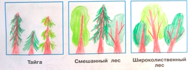 Рабочая тетрадь Плешаков 1 часть. Окружающий мир 4 класс. Страница 43. Задание 6