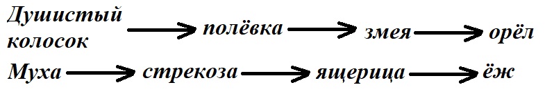 Рабочая тетрадь Плешаков 1 часть. Окружающий мир 4 класс. Страница 72. Задание 6