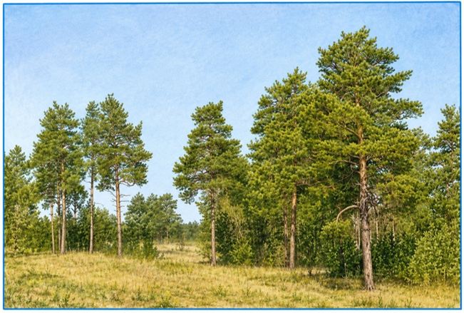 Окружающий мир 4 класс. Тесты. Плешаков Андрей Анатольевич, Гара Наталья Николаевна. Страница 44. Номер 123. 2025 год.