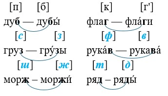 Ответ к рабочей тетради по русскому языку 1 класс Канакина, Горецкий. Номер 1, страница 49. Год 2025.