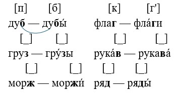 Ответ к рабочей тетради по русскому языку 1 класс Канакина, Горецкий. Номер 1, страница 49. Год 2025.