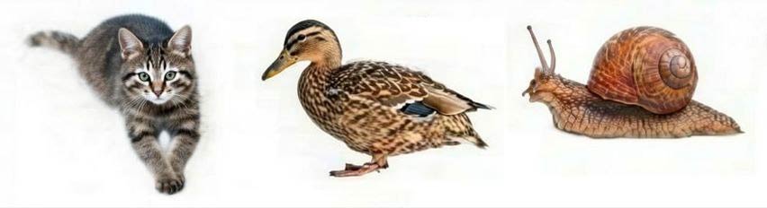 Русский язык 1 класс Канакина, Горецкий страница 76, номер 5