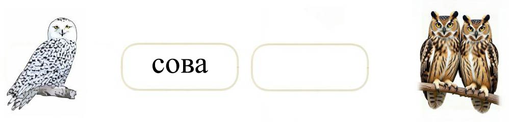 Русский язык 1 класс Канакина, Горецкий страница 64, номер 14, 2024 год