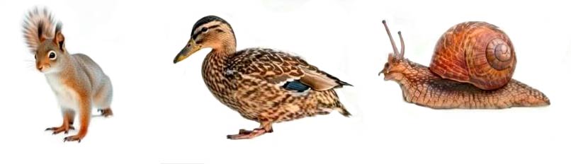 Русский язык 1 класс Канакина, Горецкий страница 76, номер 5, 2024 год