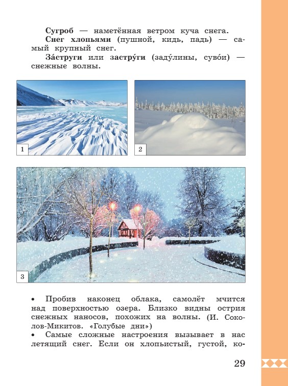 Учебник по русскому языку 3 класс. Александрова, Вербицкая. Страница 29. 2023 год. Учебник по русскому языку 3 класс. Александрова, страница 29, 2023 год.