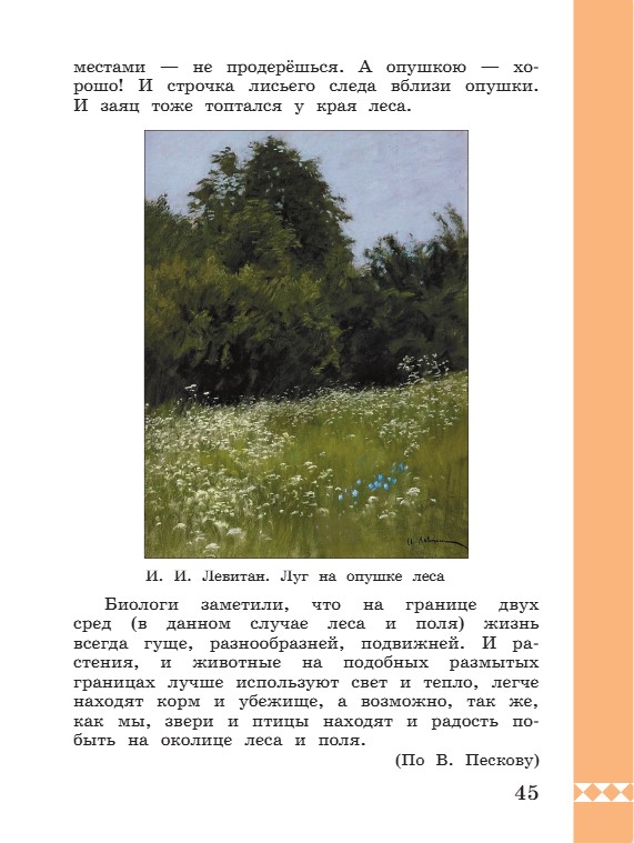 Учебник по русскому языку 3 класс. Александрова, Вербицкая. Страница 45. 2023 год. Учебник по русскому языку 3 класс. Александрова, страница 45, 2023 год.