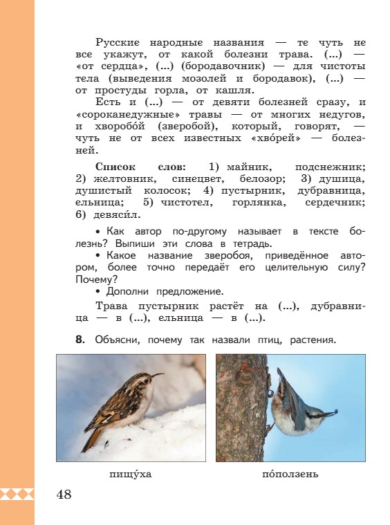 Учебник по русскому языку 3 класс. Александрова, Вербицкая. Страница 48. 2023 год. Учебник по русскому языку 3 класс. Александрова, страница 48, 2023 год.