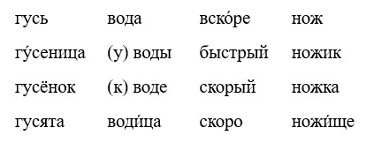 Русский язык 3 класс учебник Канакина, Горецкий 1 часть год 2026, страница 62, номер 113