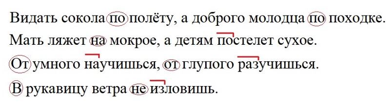 Ответ к тренажёру по русскому языку 4 класс Тихомирова. Номер 19. Страница 33. Год 2026.