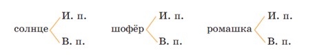 Русский язык 4 класс - учебник Канакина, Горецкий 1 часть. Страница 84. Номер 147. Год 2025 Русский язык 4 класс - учебник Канакина, Горецкий 1 часть. Страница 84. Номер 147. Год 2025