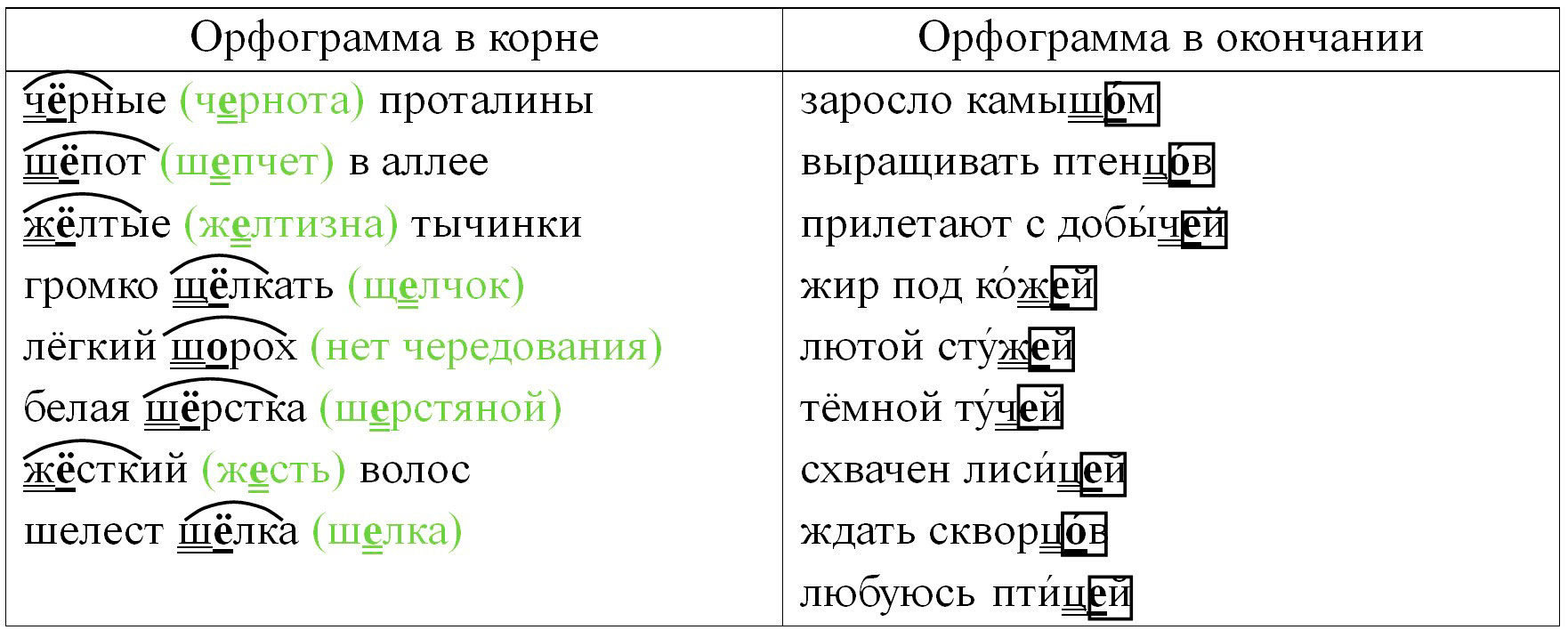 Русский язык 5 класс. Учебник 2 часть, Ладыженская. Номер 542