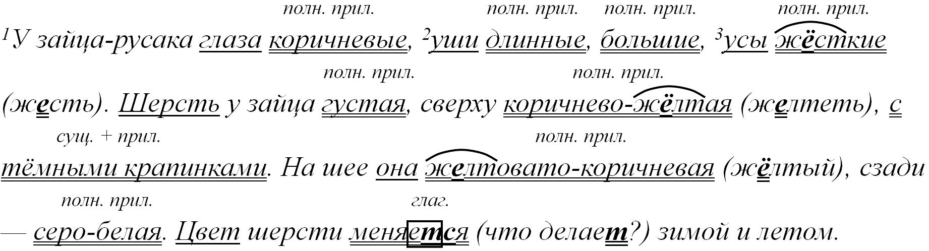 Русский язык 5 класс. Учебник 2 часть, Ладыженская. Номер 656