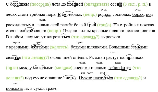 Русский язык 5 класс, Учебник 2 часть, Ладыженская, Задание 894