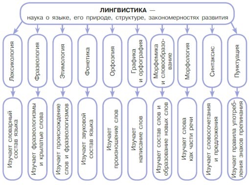 Русский язык 5 класс. Учебник 1 часть, Рыбенкова. Номер 9