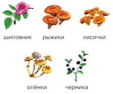 Русский язык 5 класс. Учебник 1 часть, Рыбченкова. Номер 214 Русский язык 5 класс. Учебник 1 часть, Рыбченкова. Номер 214