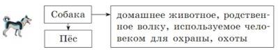 Русский язык 5 класс. Учебник 1 часть, Рыбченкова. Номер 215 Русский язык 5 класс. Учебник 1 часть, Рыбченкова. Номер 215