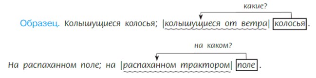 Русский язык 7 класс 1 часть учебник Баранов, Ладыженская задание 179