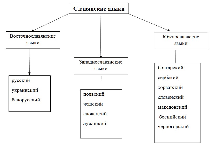 Русский язык 7 класс 1 часть учебник Баранов, Ладыженская задание 1