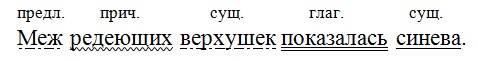 Русский язык 7 класс 1 часть учебник Баранов, Ладыженская задание 13
