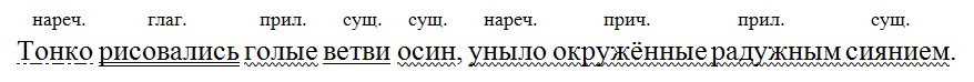 Русский язык 7 класс 1 часть учебник Баранов, Ладыженская задание 246