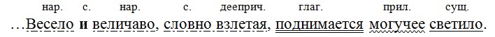 Русский язык 7 класс 1 часть учебник Баранов, Ладыженская. Год 2026, задание 284