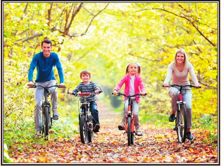 Учебник по русскому языку 8 класс. Авторы: Бархударов, Крючков. 2024-2025 год.