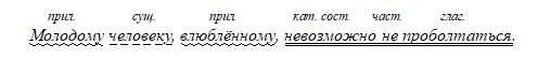 Русский язык Бархударов, Крючков. 8 класс. Задание 396-1