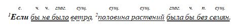 Русский язык 9 класс учебник Бархударов, Крючков. Номер 221. 2025 год.