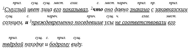 Русский язык 9 класс учебник Бархударов, Крючков. Номер 384. 2025 год.
